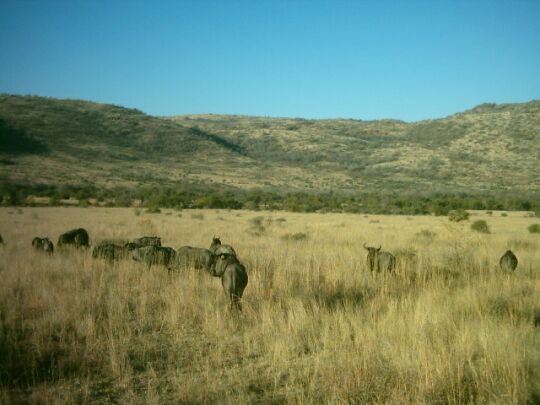 Impressionen aus Südafrika