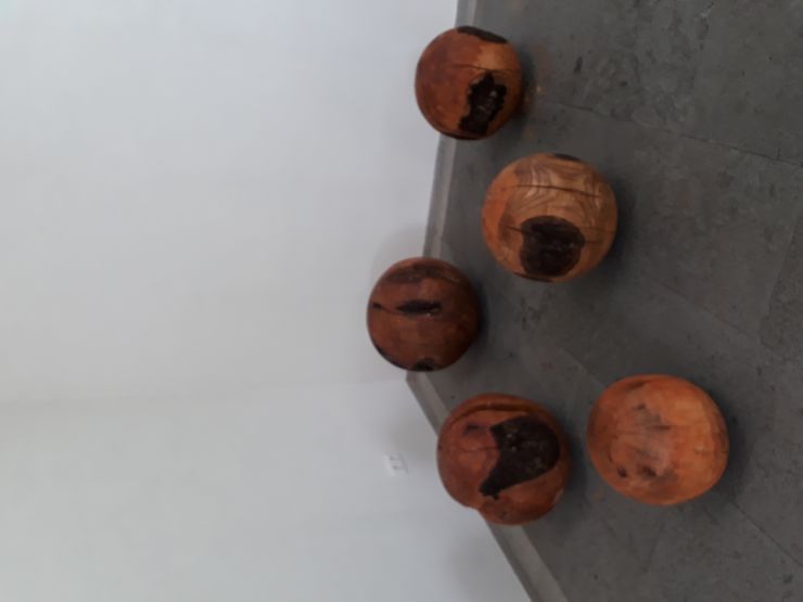 20180607_171715.jpg